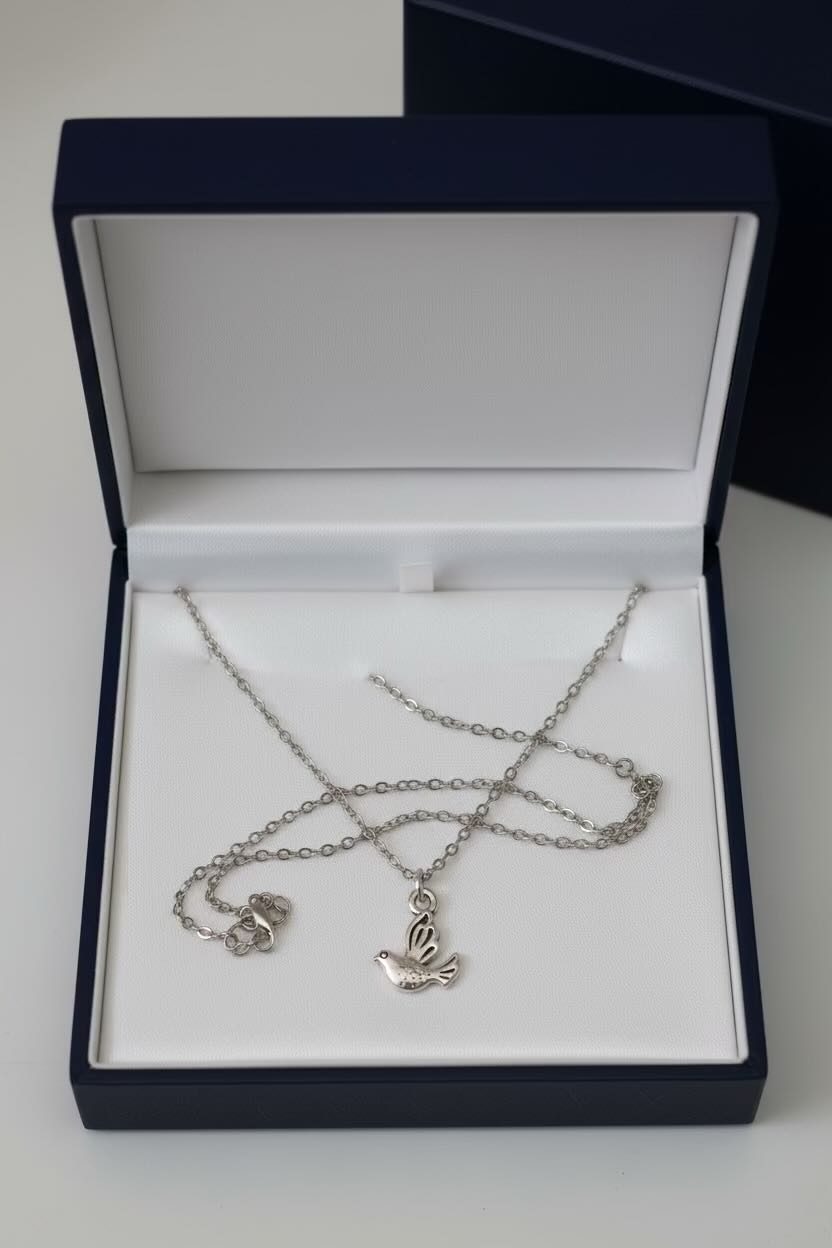 Silver necklace with a pendant in an open jewelry box on a white surface.